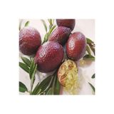 ASES FİDAN Tüplü 2 Yaş Avusturalya Blood-kırmızı Lime Limon Fidanı
