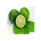 ASES FİDAN Tüplü Aşılı Bodur Lime Misket Limon 2 Yaş Boy 70-80 Cm