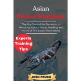 ASIAN FOREST SCORPION: The Shy Giant of the Terrarium — Handling, Habitat Setup, Feeding, and Myths of This Exotic Invertebrate