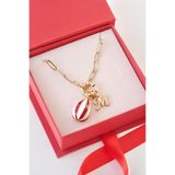 AŞIK ACCESSORIES Harfli Hayal Balonu Kolye - Çelik