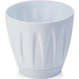 Asil Acar Home 1 No Papatya Saksı 0.7 Lt. ROYALEKS-P001 - Çok Renkli