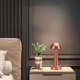 Asil Acar Home BUFFER® Mantar Model Bronz Renk Şarjlı Dokunmatik 3 Renkli LED Masa Lambası