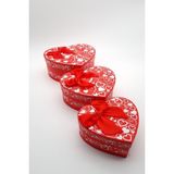 Asil Acar Home Desenli 3'lü Hediye Kutusu ROYALEKS-MTR-1909-55 - 10 x 10 cm - Çok Renkli - 1 Adet