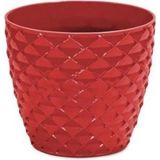 Asil Acar Home Kapadokya Saksı 1 No 0,5 Lt. Royaleks-Kap1 - Çok Renkli