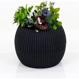 Asil Acar Home Mercan Saksı 2 Numara 0,35 Litre Su Hazneli Dekoratif Kaktüs Sukulent Saksı 11,8x9,2 cm - Çok Renkli