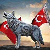 ASİL KURT 12 70X50CM KARTON ÇERÇEVESİZ TABLO