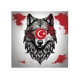 ASİL KURT 26 50X50CM PVC ÇERÇEVESİZ TABLO