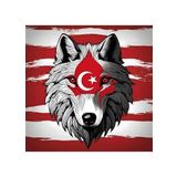 ASİL KURT 27 50X50CM PVC ÇERÇEVESİZ TABLO