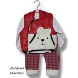 Asil Öztürk Baby & Kids Erkek Bebek Çocuk Mont Yelekli 3'lü Alt Üst Takım Ekose Peluş Ayıcık Cep Detaylı Pamuklu - 9 - 12 Ay - 240-Kırmızı