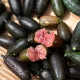 Aşılı Australian Red Finger Lime Fidanı – Kırmızı İçli Havyar Limonu, Nadir Parmak Limon