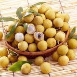 Aşılı Longan Fidanı Türkiye'de Tek!!! 8 Yaş1 Mt Üstü