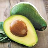 Aşılı Zutano Avokado Fidanı 50-70 Cm - Bahçenizin Verimini Artıran En Güçlü Tozlayıcı Tür