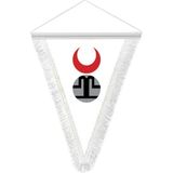 Asilmeydan Altın Ordu Devleti - 17 Eski Türk Devletleri Bayrağı - Hatıra Üçgen Flama Bayrak - Renkli