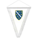 Asilmeydan Bosna - Hersek - Saten Hatıra Üçgen Flama Bayrak - Renkli
