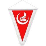 Asilmeydan Bozkurt Hilal Kırmızı Hatıra Üçgen Flama Bayrak - Renkli