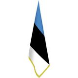 Asilmeydan Estonya Bayrağı - Ofis - Makam -Toplantı Odaları - Saçaklı Makam Bayrağı - Renkli
