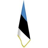 Asilmeydan Estonya Bayrağı - Ofis - Makam -Toplantı Odaları - Saçaklı Makam Bayrağı