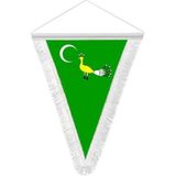 Asilmeydan Gazneliler - Gazne Devleti - 17 Eski Türk Devletleri Bayrağı - Saten Hatıra Üçgen Flama Bayrak - Renkli