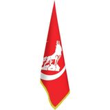 Asilmeydan Kırmızı Hilal Bozkurt Bayrağı - Ofis-Makam-Toplantı Odaları - Saçaklı Makam Bayrağı - Renkli