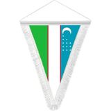 Asilmeydan Özbekistan Cumhuriyeti Hatıra Üçgen Flama Bayrak - Renkli