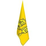 Asilmeydan Uygur Kağanlığı Bayrağı -17 Eski Türk Devletleri-Ofis-Makam-Toplantı Odaları - Saçaklı Makam Bayrağı - Renkli