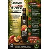 Asır Gıda Doğal Sandaloz Sakızlı Elma Sirkesi 500ml. - 500 ml