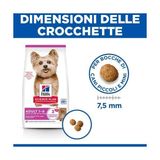 Asitan Adult Small Miniature Lamb&rice Kuzu Etli Pirinçli Yetişkin Küçük Irk Kuru Köpek Maması, 1.5