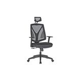 Asitan Atom Ofis Bella Fileli Yönetici Çalışma Koltuğu, Ergonomik Ofis Sandalyesi, Multitilt Mekanizma - Çok Renkli