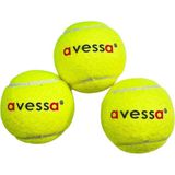 Asitan Avessa Tenis Topu, 3'lü Paket, Hoby ve Amatör Kullanım, Sarı, TT-100 - Çok Renkli
