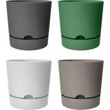 Asitan Begonya Saksı Tabaklı Drenajlı Mat Plastik Çiçek Saksısı (4 Adet, 5 Litre, 21CM, Karışık) - Çok Renkli