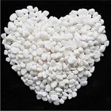 Asitan Beyaz Dolomit Taş 10 kg 1,5-2,5 cm Dere Çakıl Taşı Bahçe Süs Taşı Saksı Teraryum Taşı Ak - Çok Renkli
