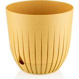 Asitan Çizgi Saksı Plastik Delikli Tabaklı Çiçek Saksısı (1 Adet, Sarı, 5 Litre) - Çok Renkli