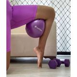 Asitan Clifton Dambıl Seti 2 kg x 2 Adet 4 kg Ağırlık Seti - 25 cm Pilates Topu 2 Li Set, Tek Ebat, 4kg - Çok Renkli