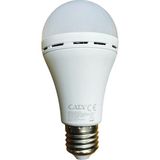 Asitan CT-4229 9W/6400K Şarjlı LED Ampul Cata - Altın