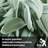 Asitan Dönüş Adaçayı - 30 Gr. (1. Kalite - Sıyırma - Kurutulmuş Ada Çayı - Bitki Çayı - Tütsü