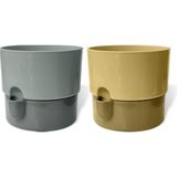 Asitan Dora Saksı Tabaklı Çiçek Kaktüs Saksısı Parlak Plastik Saksı (2 Adet, Gri&krem, 1l, 13CM) - Çok Renkli