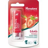 Asitan Himalaya Parlatıcı Dudak Kremi, Lip Balm, Çilek, Kayısı Çekirdeği Yağı, NEMLENDIRICI,%100 D - Çok Renkli