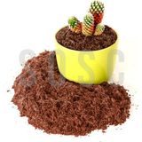 Asitan Hindistan Cevizi TORFU%100 Doğal Torf - Cocopeat Hindistan Cevizi Lifi - Doğal Bitki Toprağı 10 - Çok Renkli