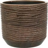 Asitan Jefta Siyah Seramik Saksı 19X17 cm - Çok Renkli