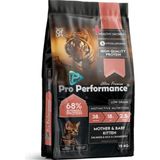 Asitan Kitten Anne ve Yavru Salmon & Rice 15 kg Kedi Kuru Maması - Alabalık