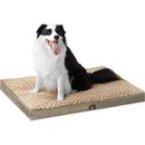 Asitan Köpek Yatağı, Ortopedik Yumurta Sandığı, Köpük Pedi, Yıkanabilir ve Su Geçirmez Kılıf, Y - Beyaz - Gold - Çok Renkli