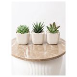 Asitan Modern Krem Kare Saksı Seti, 3'lü, 8,2x8,2x7,1 Cm, Sukulent ve Kaktüs Bitkilerine Uygun - Çok Renkli