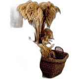 Asitan Okaliptus Çift Kişilik Pamuklu Kapitone Pike & Yatak Örtüsü - Çok Renkli - 1 x 32 x 27 cm