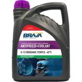 Asitan Organik 3 Lt G-13 Antifriz Mor -40°c - Çok Renkli