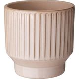 Asitan Seramik Saksı, Bej, 9 cm - Çok Renkli