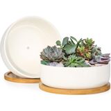 Asitan Sukulent Saksısı, 15,24 cm Beyaz Seramik Çiçek Saksısı, Bambu Tepsili, 2'li Paket - Bitkiler D - Çok Renkli