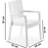 Asitan SY-2527 Royale Hasır Desenli Rattan Bahçe Koltuk Sandalye 4'lü Set - Çok Renkli