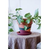 Asitan Terracotta Saksı Waves 16X18CM + Tabak - Çok Renkli