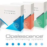 Asitan Ultradent Opalescence Pf%16 Ev Tipi Diş Beyazlatma 4'lü Şırınga - Çok Renkli