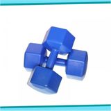 Asitan Yüksek Kalite Içi Demir Tozu Dambıl Ağırlık Seti 2x8 kg Dumbell Set Mavi, AA99541BFR - Çok Renkli